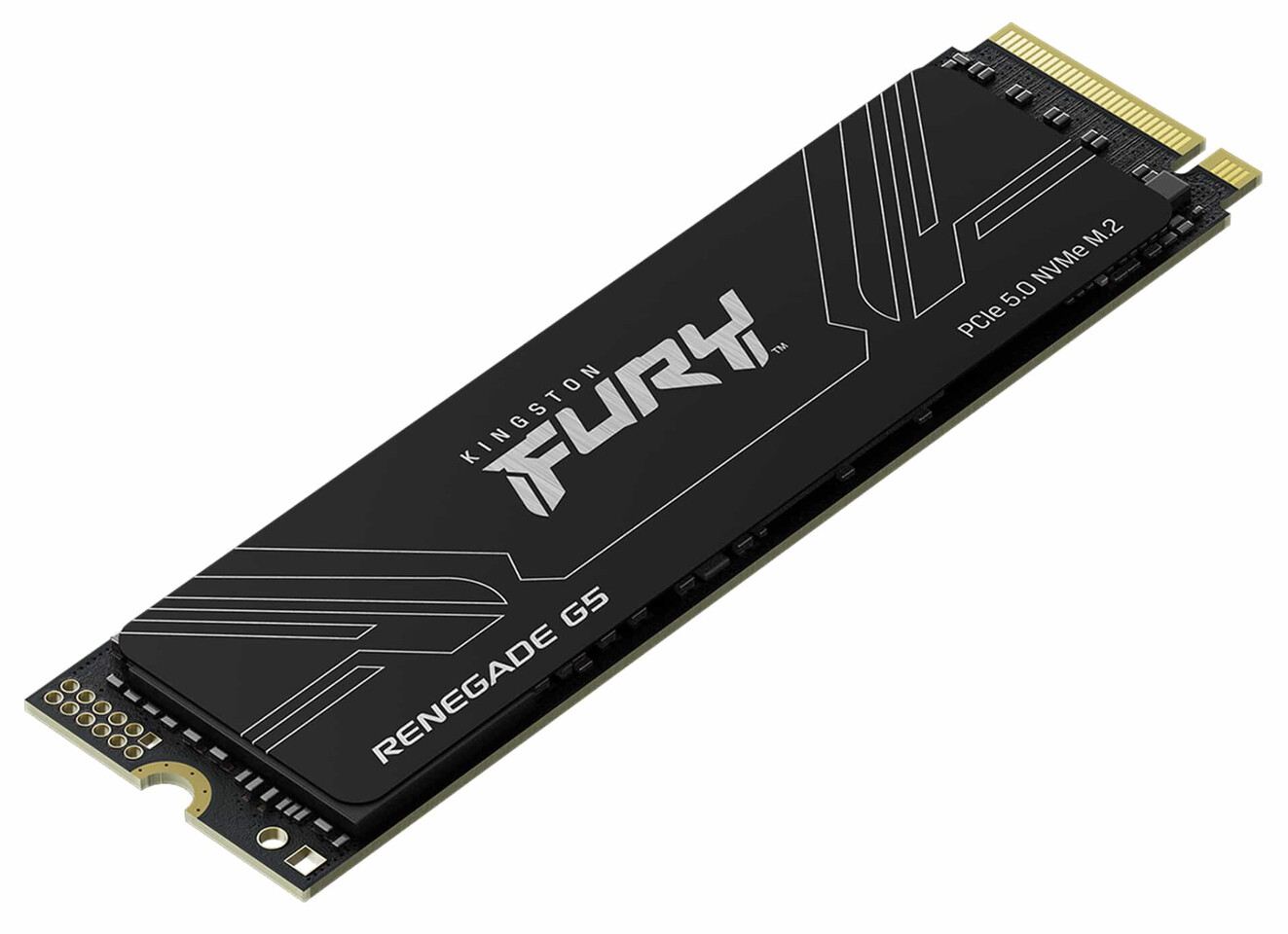 Kingston announces the pricing for its new Fury Renegade G5 PCIe 5.0 NVMe SSD.